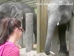 Amateur Girl's HOT Vacation Sex Tape