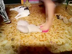 miss wagon - vi regalo un video per intero per farvi segare