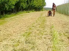 Mein hasslicher Dreckskoter