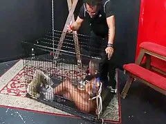 Dręczenie czarnej szmat