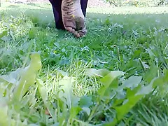 Flowers Crushed by Bare Feet