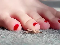 Giantess Punishes Tinies : Close up : HQ : SweetieFeetie : Red Nails : Feet