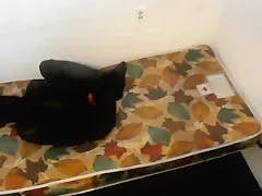 Self Bondage Internal Sleeve Spandex Sleepsack Escape Fun