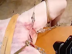 Bm Pig - Punished For Cumming