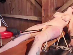 Bm Pig - Stapled Cunthole