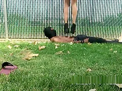 Platforms and Socks Trampling the Matt Hard