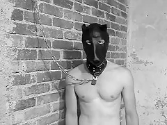 The Toy Stables - TacAmateurs