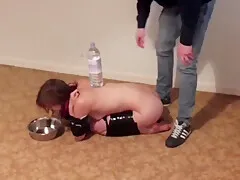 Taped Up And To Play A Dog