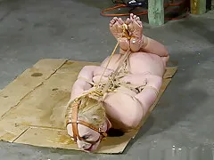 Ariel Anderssen In A Tight Box Hogtie For Ariel – 4