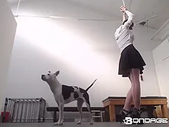 Bondagelife - Hanging A Round Style